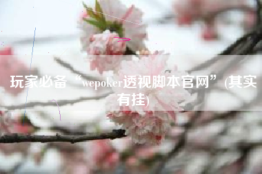 玩家必备“wepoker透视脚本官网”(其实有挂)