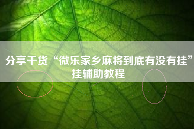 分享干货“微乐家乡麻将到底有没有挂”挂辅助教程