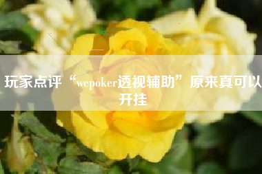 玩家点评“wepoker透视辅助”原来真可以开挂