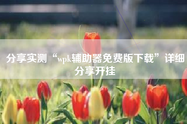 分享实测“wpk辅助器免费版下载”详细分享开挂 分享实测“wpk辅助器免费版下载”详细分享开挂