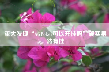 重大发现“AGPoker可以开挂吗	”确实果然有挂