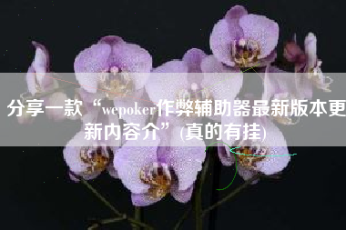 分享一款“wepoker作弊辅助器最新版本更新内容介”(真的有挂)