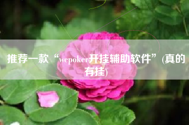 推荐一款“wepoker开挂辅助软件”(真的有挂)