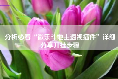 分析必看“微乐斗地主透视插件”详细分享开挂步骤