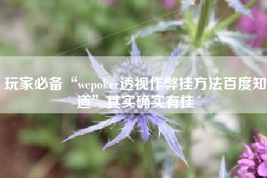 玩家必备“wepoker透视作弊挂方法百度知道	”其实确实有挂