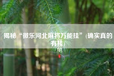 揭秘“微乐河北麻将万能挂”(确实真的有挂)