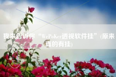 我来告诉你“WePoKer透视软件挂”(原来真的有挂)