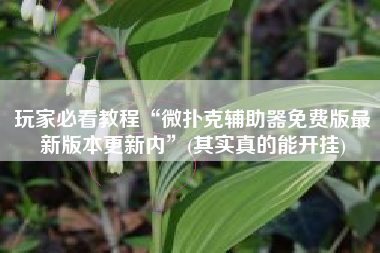 玩家必看教程“微扑克辅助器免费版最新版本更新内”(其实真的能开挂)