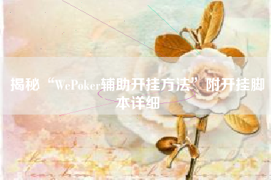 揭秘“WePoker辅助开挂方法”附开挂脚本详细