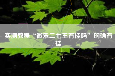 实测教程“微乐二七王有挂吗”的确有挂