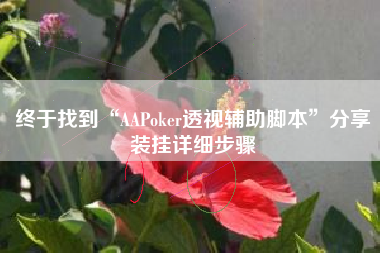 终于找到“AAPoker透视辅助脚本”分享装挂详细步骤