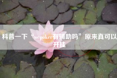 科普一下“wepoker有辅助吗”原来真可以开挂
