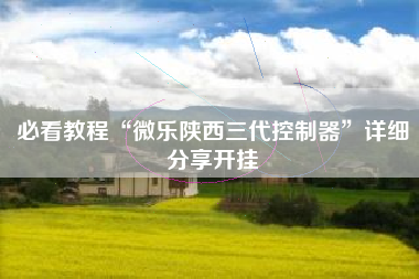 必看教程“微乐陕西三代控制器”详细分享开挂