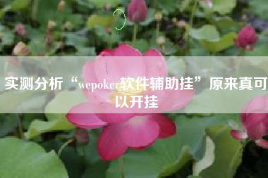 实测分析“wepoker软件辅助挂”原来真可以开挂