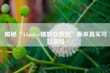 揭秘“AApoker辅助安装包”原来真实可以装挂