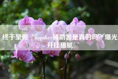 终于呈现“aapoker辅助器是真的吗”爆光开挂猫腻