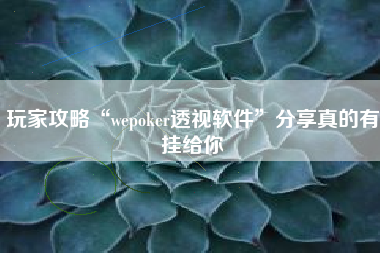 玩家攻略“wepoker透视软件”分享真的有挂给你 玩家攻略“wepoker透视软件”分享真的有挂给你