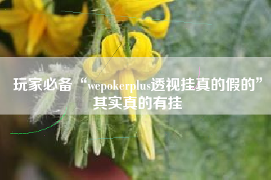 玩家必备“wepokerplus透视挂真的假的”其实真的有挂