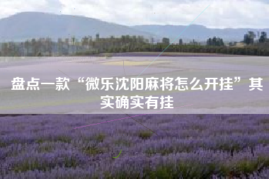 盘点一款“微乐沈阳麻将怎么开挂”其实确实有挂