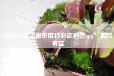 分析必看“微乐麻将必赢神器app	”实际有挂