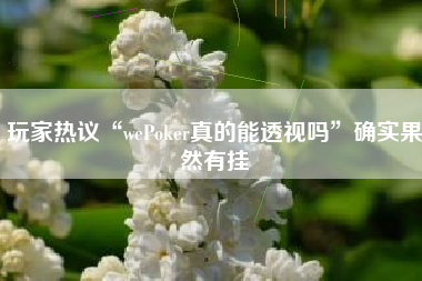 玩家热议“wePoker真的能透视吗	”确实果然有挂