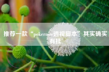 推荐一款“pokernow透视脚本”其实确实有挂