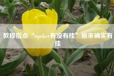 教程指点“wpoker有没有挂	”原来确实有挂