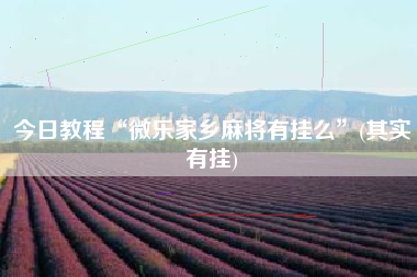 今日教程“微乐家乡麻将有挂么”(其实有挂)