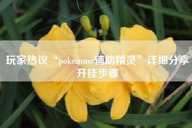玩家热议“pokemmo辅助精灵”详细分享开挂步骤