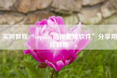 实测教程“wepoker透视底牌软件”分享用挂教程