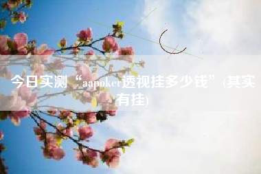 今日实测“aapoker透视挂多少钱”(其实有挂)