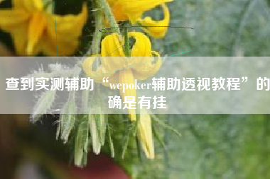 查到实测辅助“wepoker辅助透视教程”的确是有挂