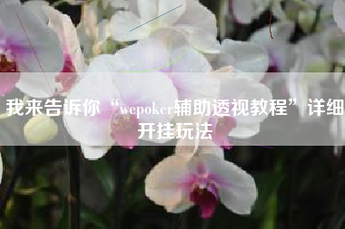 我来告诉你“wepoker辅助透视教程”详细开挂玩法
