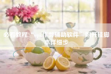 必看教程“wpk作弊辅助软件	”附开挂脚本详细步