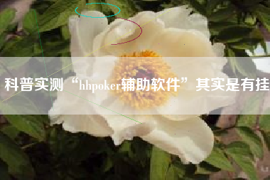 科普实测“hhpoker辅助软件”其实是有挂