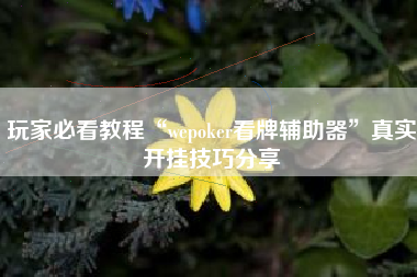 玩家必看教程“wepoker看牌辅助器”真实开挂技巧分享