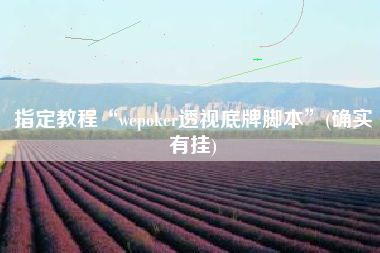 指定教程“wepoker透视底牌脚本	”(确实有挂)