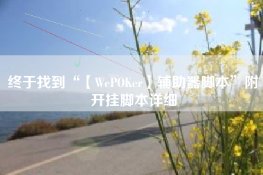 终于找到“【WePOKer】辅助器脚本”附开挂脚本详细