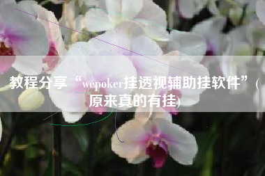 教程分享“wepoker挂透视辅助挂软件	”(原来真的有挂)