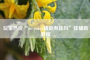 玩家热议“we-poker辅助有挂吗”挂辅助教程