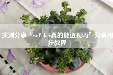 实测分享“wePoker真的能透视吗	”分享用挂教程