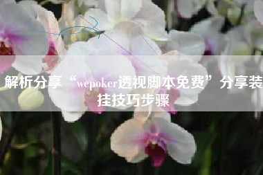 解析分享“wepoker透视脚本免费	”分享装挂技巧步骤