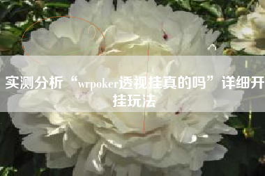 实测分析“wrpoker透视挂真的吗	”详细开挂玩法