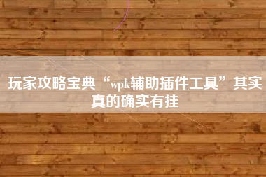 玩家攻略宝典“wpk辅助插件工具	”其实真的确实有挂