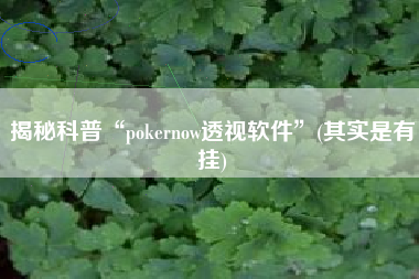 揭秘科普“pokernow透视软件”(其实是有挂)