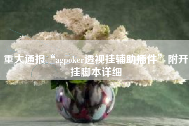 重大通报“agpoker透视挂辅助插件	”附开挂脚本详细