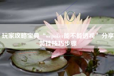 玩家攻略宝典“wepoker能不能透视”分享装挂技巧步骤
