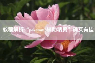 教程解析“pokemmo辅助精灵”确实有挂