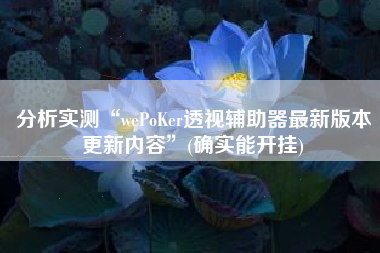 分析实测“wePoKer透视辅助器最新版本更新内容”(确实能开挂)