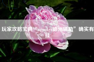 玩家攻略宝典“wepoker德州辅助”确实有挂